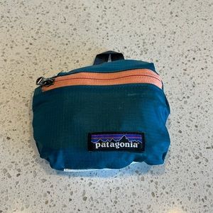 Patagonia lightweight travel mini hip pack